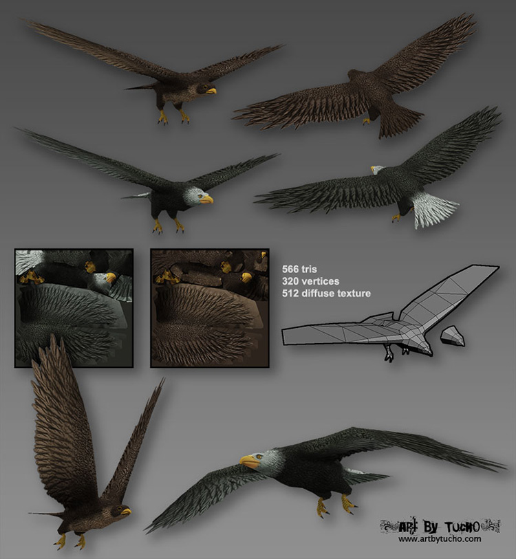 eagle-falcon.jpg